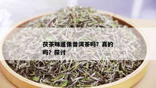 茯茶味道像普洱茶吗？真的吗？探讨