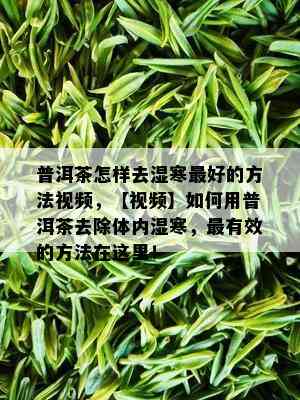 普洱茶怎样去湿寒更好的方法视频，【视频】如何用普洱茶去除体内湿寒，最有效的方法在这里！