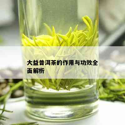 大益普洱茶的作用与功效全面解析