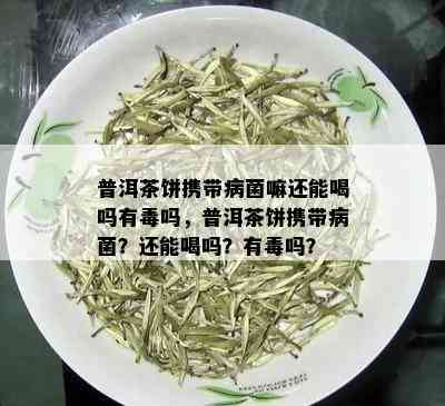 普洱茶饼携带病菌嘛还能喝吗有吗，普洱茶饼携带病菌？还能喝吗？有吗？