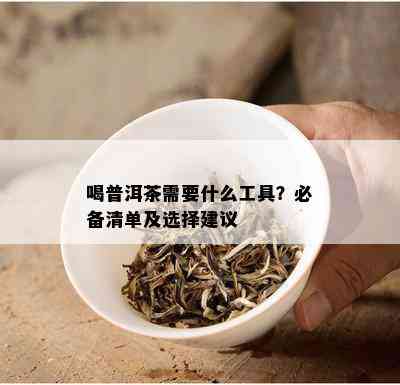 喝普洱茶需要什么工具？必备清单及选择建议