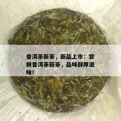 普洱茶新茶，新品上市：尝鲜普洱茶新茶，品味醇厚滋味！