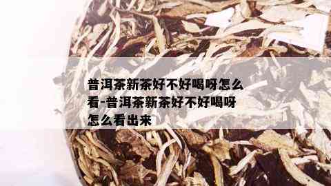 普洱茶新茶好不好喝呀怎么看-普洱茶新茶好不好喝呀怎么看出来