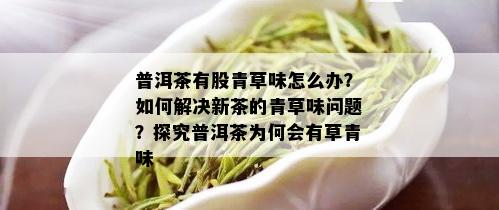 普洱茶有股青草味怎么办？如何解决新茶的青草味问题？探究普洱茶为何会有草青味