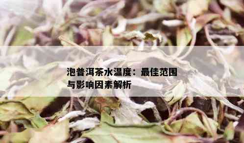 泡普洱茶水温度：更佳范围与影响因素解析