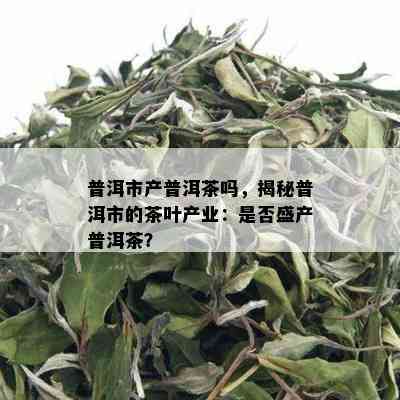 普洱市产普洱茶吗，揭秘普洱市的茶叶产业：是否盛产普洱茶？