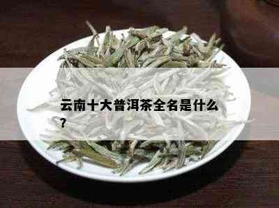 云南十大普洱茶全名是什么？