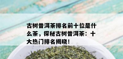 古树普洱茶排名前十位是什么茶，探秘古树普洱茶：十大热门排名揭晓！