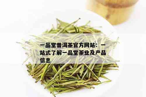 一品堂普洱茶官方网站：一站式了解一品堂茶业及产品信息