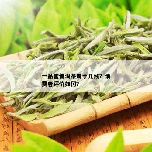 一品堂普洱茶属于几线？消费者评价如何？