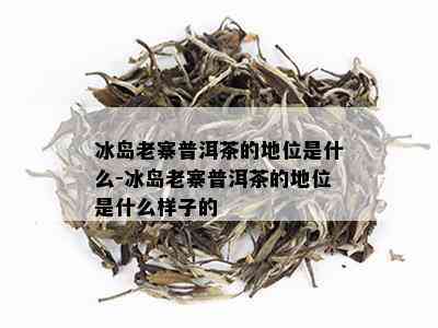 冰岛老寨普洱茶的地位是什么-冰岛老寨普洱茶的地位是什么样子的