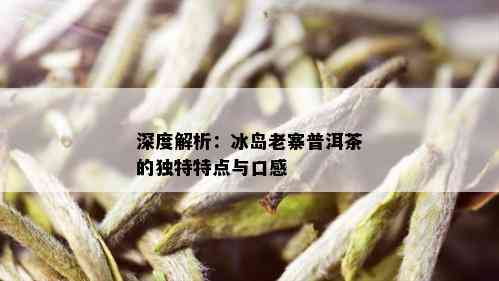 深度解析：冰岛老寨普洱茶的独特特点与口感