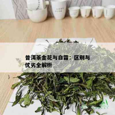 普洱茶金花与白霜：区别与优劣全解析