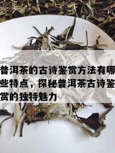 普洱茶的古诗鉴赏方法有哪些特点，探秘普洱茶古诗鉴赏的独特魅力