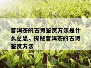 普洱茶的古诗鉴赏方法是什么意思，探秘普洱茶的古诗鉴赏方法