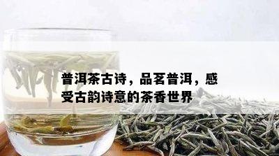 普洱茶古诗，品茗普洱，感受古韵诗意的茶香世界