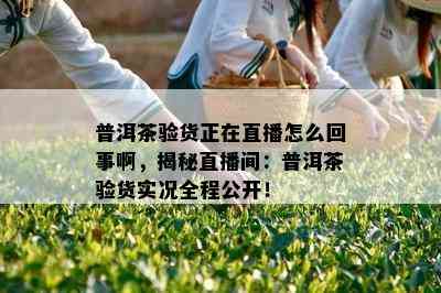 普洱茶验货正在直播怎么回事啊，揭秘直播间：普洱茶验货实况全程公开！