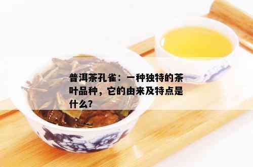 普洱茶孔雀：一种独特的茶叶品种，它的由来及特点是什么？