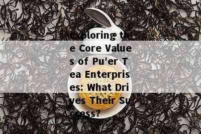 Exploring the Core Values of Pu'er Tea Enterprises: What Drives Their Success?