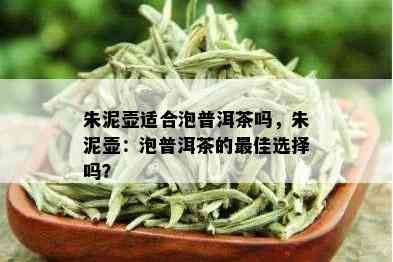 朱泥壶适合泡普洱茶吗，朱泥壶：泡普洱茶的更佳选择吗？