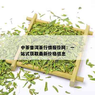 中茶普洱茶行情报价网：一站式获取最新价格信息