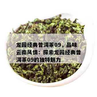 龙园经典普洱茶09，品味云南风情：探索龙园经典普洱茶09的独特魅力