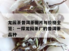 龙园茶普洱茶图片与价格全览：一探龙园茶厂的普洱茶品种