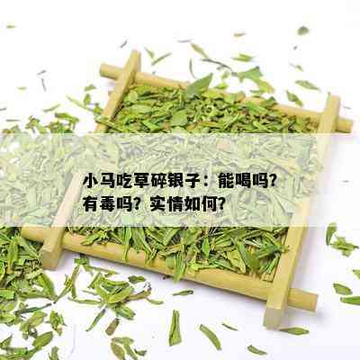 小马吃草碎银子：能喝吗？有吗？实情如何？