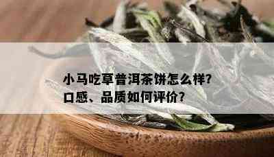 小马吃草普洱茶饼怎么样？口感、品质如何评价？