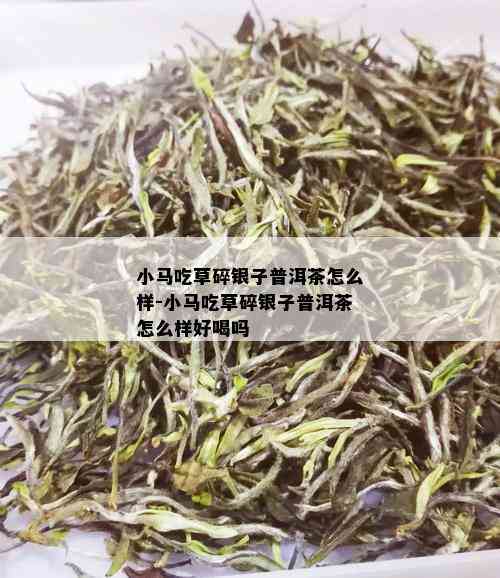 小马吃草碎银子普洱茶怎么样-小马吃草碎银子普洱茶怎么样好喝吗