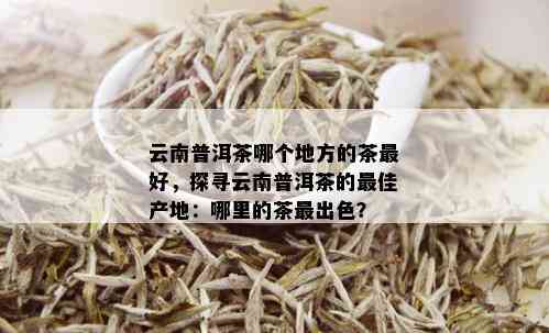 云南普洱茶哪个地方的茶更好，探寻云南普洱茶的更佳产地：哪里的茶最出色？