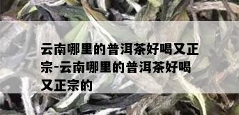 云南哪里的普洱茶好喝又正宗-云南哪里的普洱茶好喝又正宗的