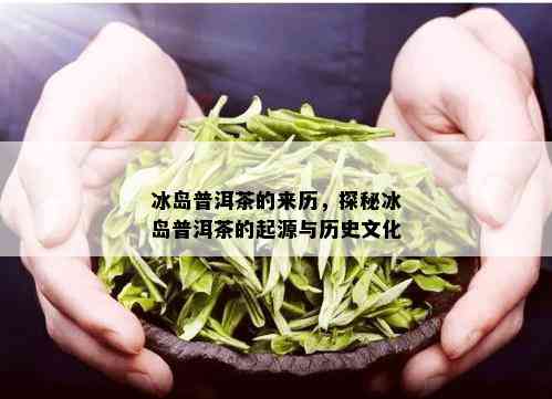 冰岛普洱茶的来历，探秘冰岛普洱茶的起源与历史文化