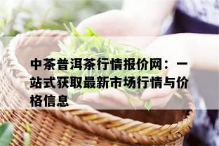 中茶普洱茶行情报价网：一站式获取最新市场行情与价格信息