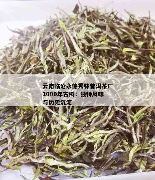 云南临沧永德秀林普洱茶厂1000年古树：独特风味与历史沉淀