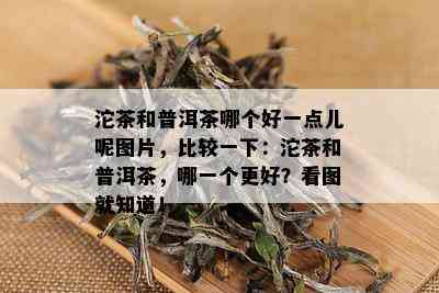 沱茶和普洱茶哪个好一点儿呢图片，比较一下：沱茶和普洱茶，哪一个更好？看图就知道！