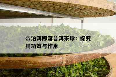 帝泊洱即溶普洱茶珍：探究其功效与作用