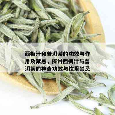 西梅汁和普洱茶的功效与作用及禁忌，探讨西梅汁与普洱茶的神奇功效与饮用禁忌