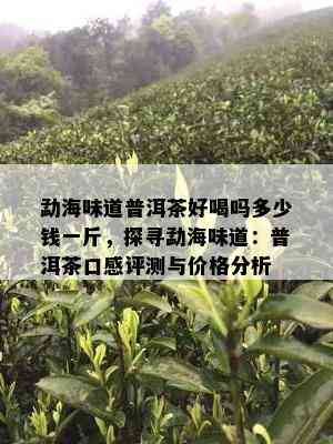 勐海味道普洱茶好喝吗多少钱一斤，探寻勐海味道：普洱茶口感评测与价格分析