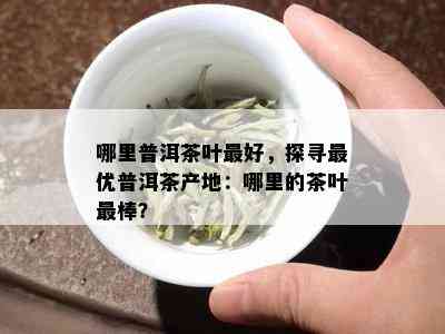 哪里普洱茶叶更好，探寻更优普洱茶产地：哪里的茶叶最棒？