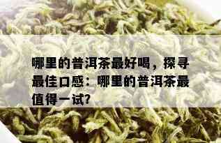 哪里的普洱茶更好喝，探寻更佳口感：哪里的普洱茶最值得一试？