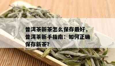 普洱茶新茶怎么保存更好，普洱茶新手指南：如何正确保存新茶？