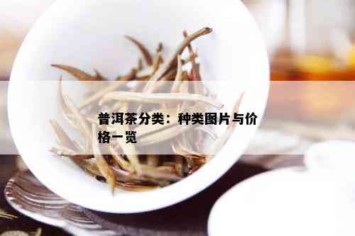 普洱茶分类：种类图片与价格一览