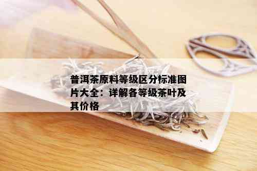 普洱茶原料等级区分标准图片大全：详解各等级茶叶及其价格