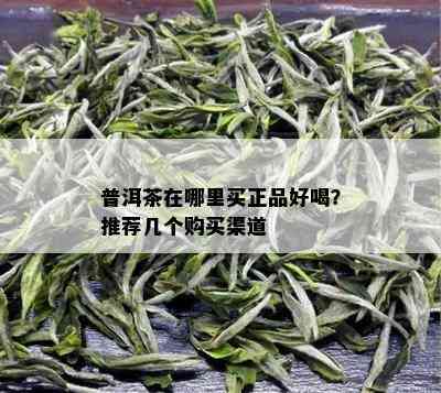 普洱茶在哪里买正品好喝？推荐几个购买渠道