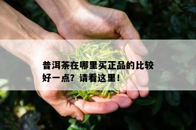 普洱茶在哪里买正品的比较好一点？请看这里！