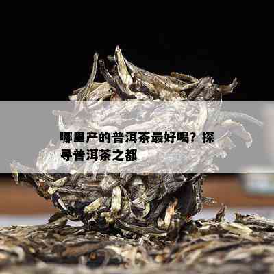 哪里产的普洱茶更好喝？探寻普洱茶之都