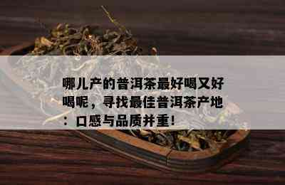 哪儿产的普洱茶更好喝又好喝呢，寻找更佳普洱茶产地：口感与品质并重！