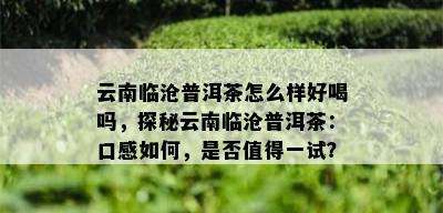 云南临沧普洱茶怎么样好喝吗，探秘云南临沧普洱茶：口感如何，是否值得一试？