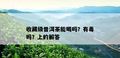 收藏级普洱茶能喝吗？有吗？上的解答